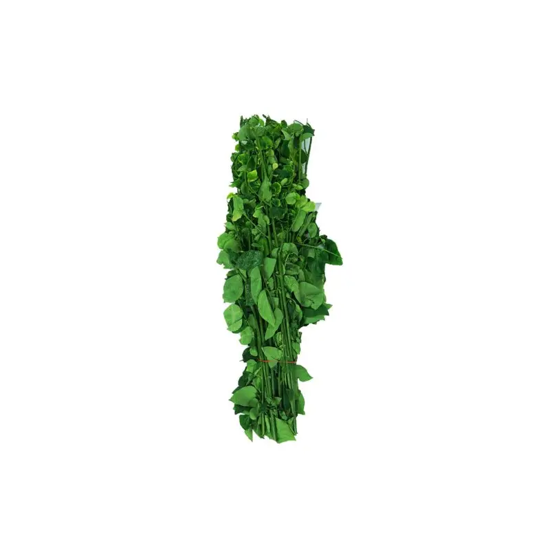 Local Cangkok Manis 1Pkt