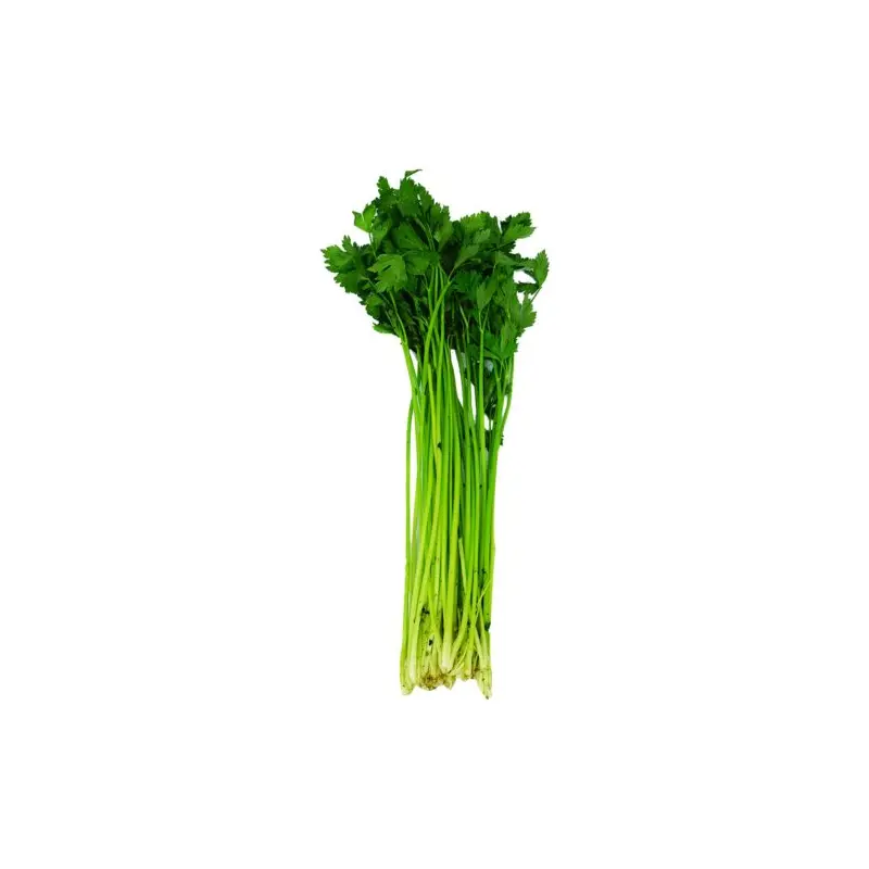 Malaysia Celery Daun Soup 170-200g