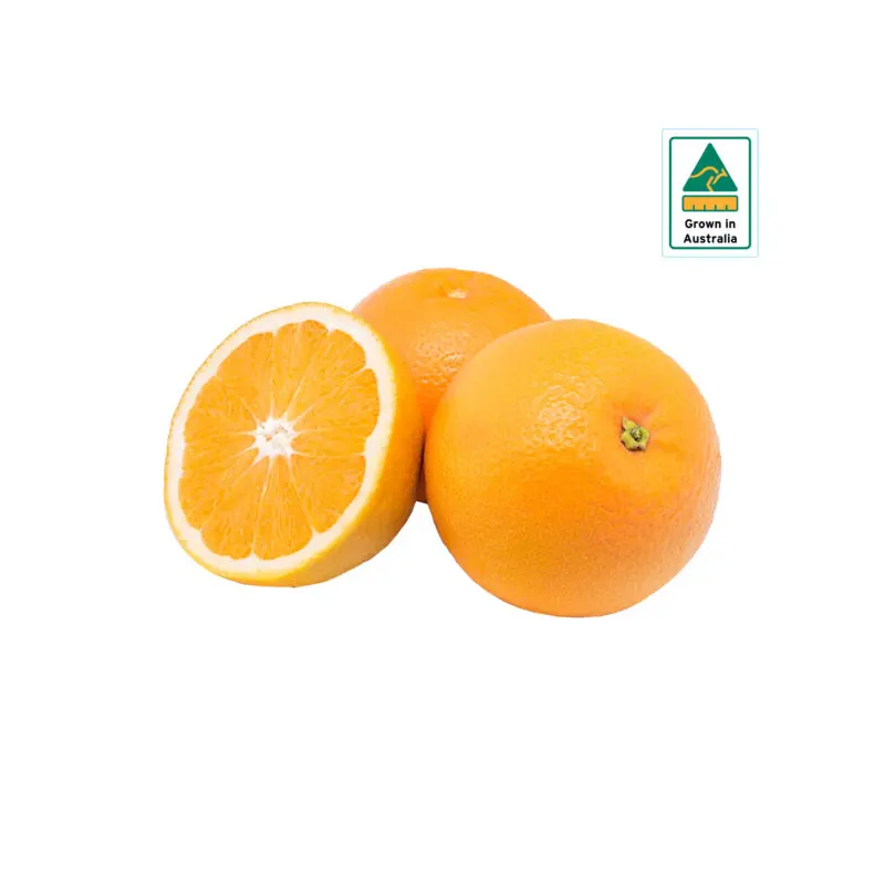 Australia Washington Navel Orange Pack of 6