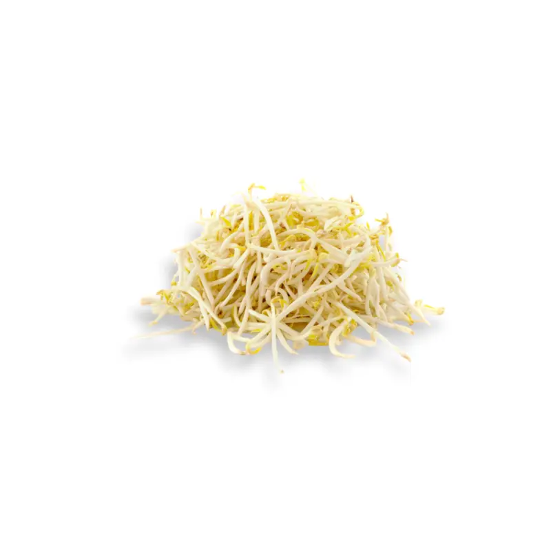 Bean Sprout 500g-600g