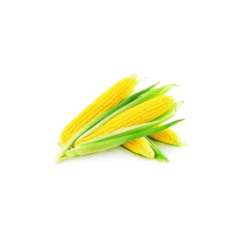 Local Sweet Corn 3Pcs