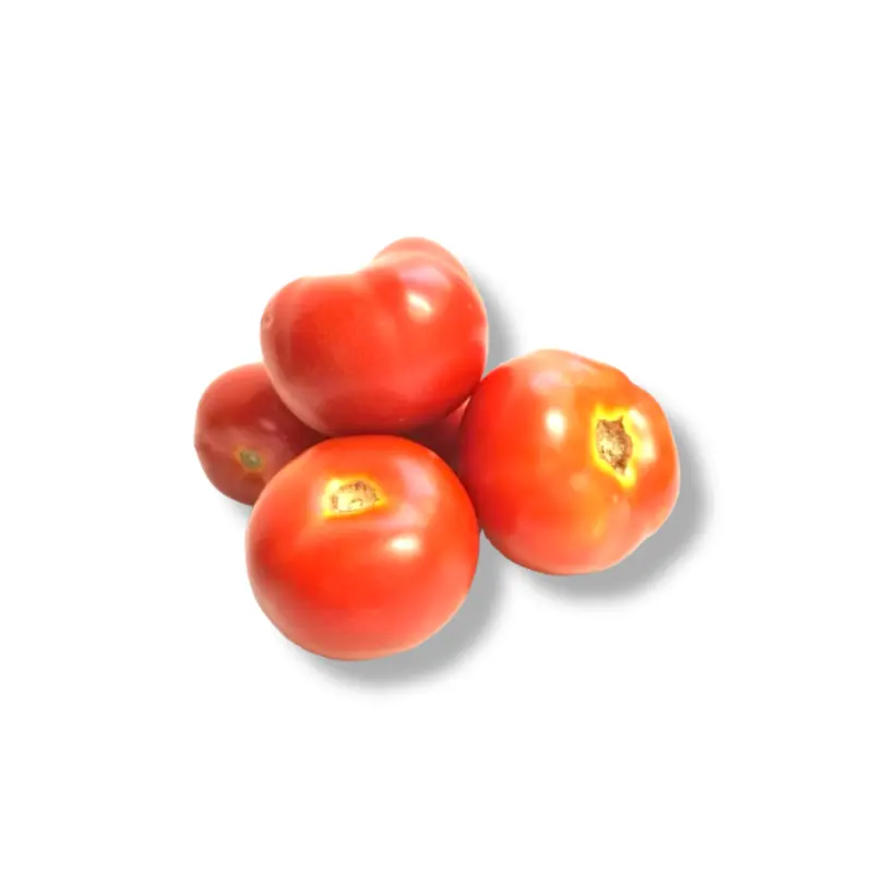 Malaysia Tomato Camp 600g-700g