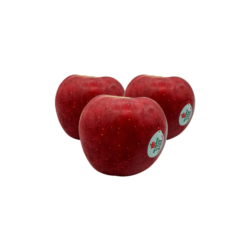 New Zealand Rose Apple 120s*10pcs