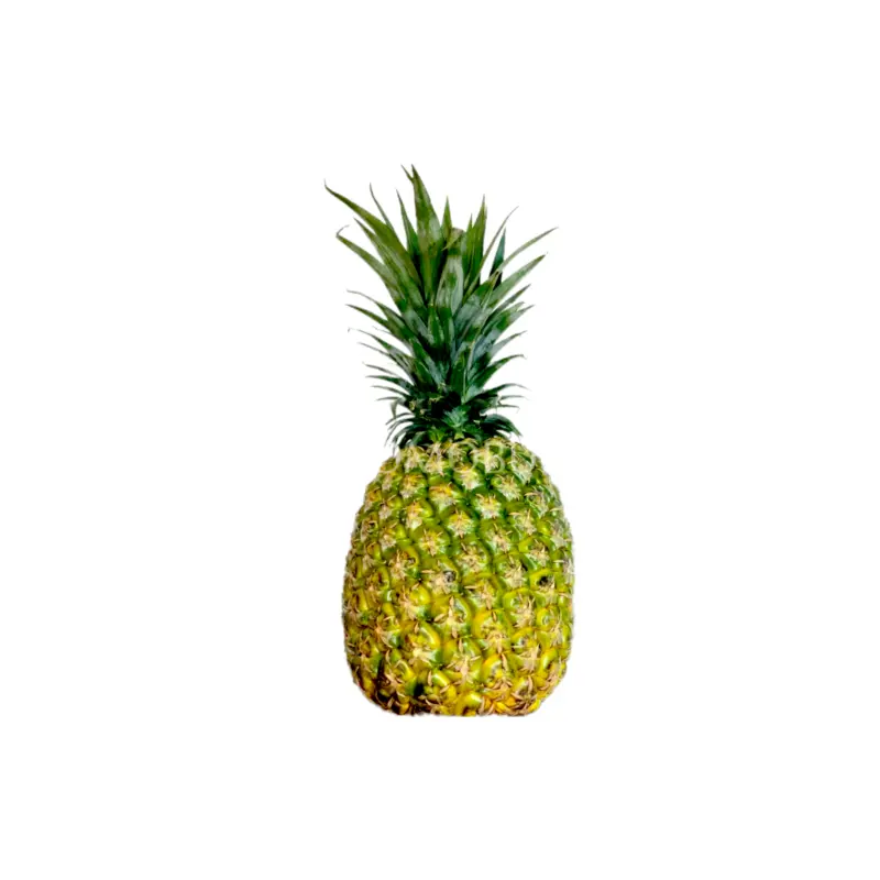 Philippines Pineapple 1.2kg-1.5kg