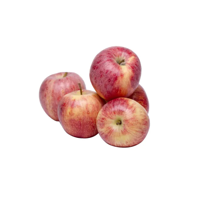 South Africa Crips Red Apple Joya 6Pcs