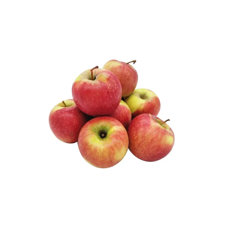 South Africa Red Fuji Apple 6 PCS / Tray