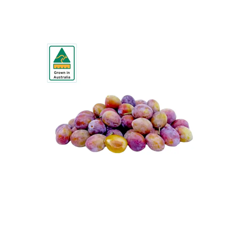 Australia A/F Sugar Plum 500g-600g