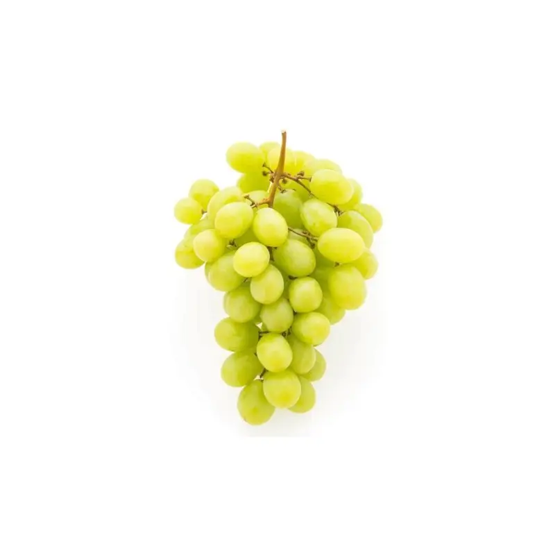 Australia Autumn Crisp Seedless Green Grape 500g-600g
