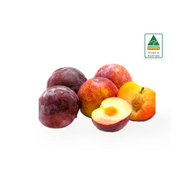 Australia Tegan Blue Plums 600g-700g