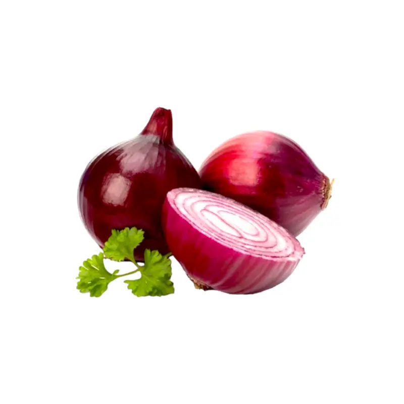 China Big Red Onion XL 800g-900g