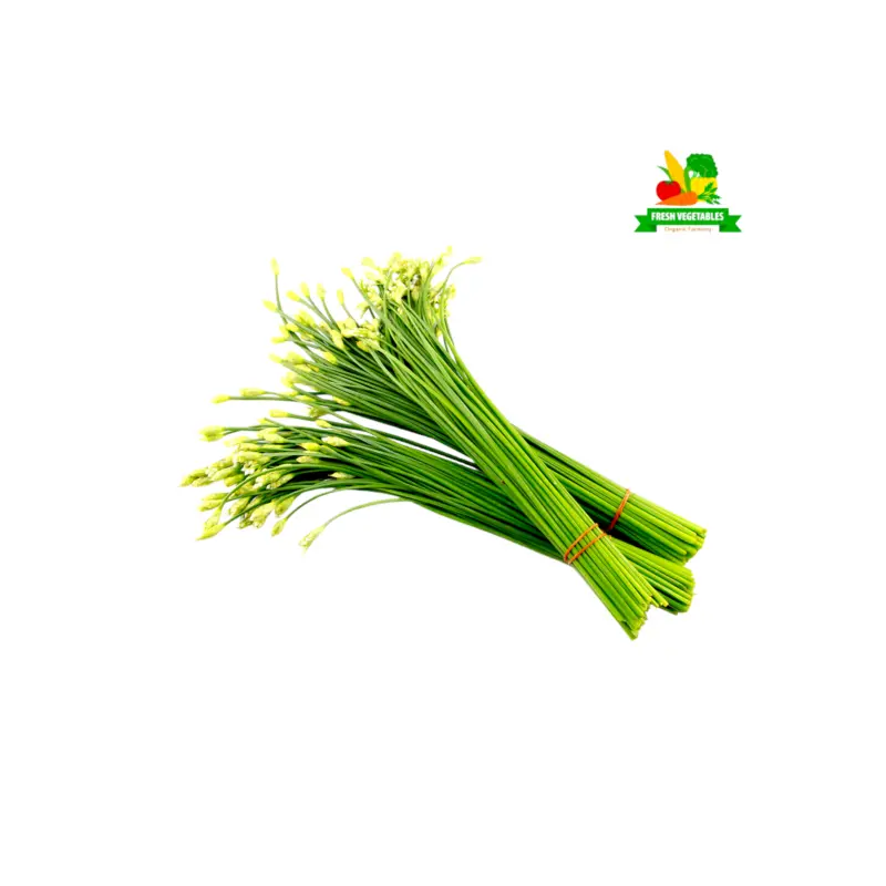 China Leek Flowers 400g  450g