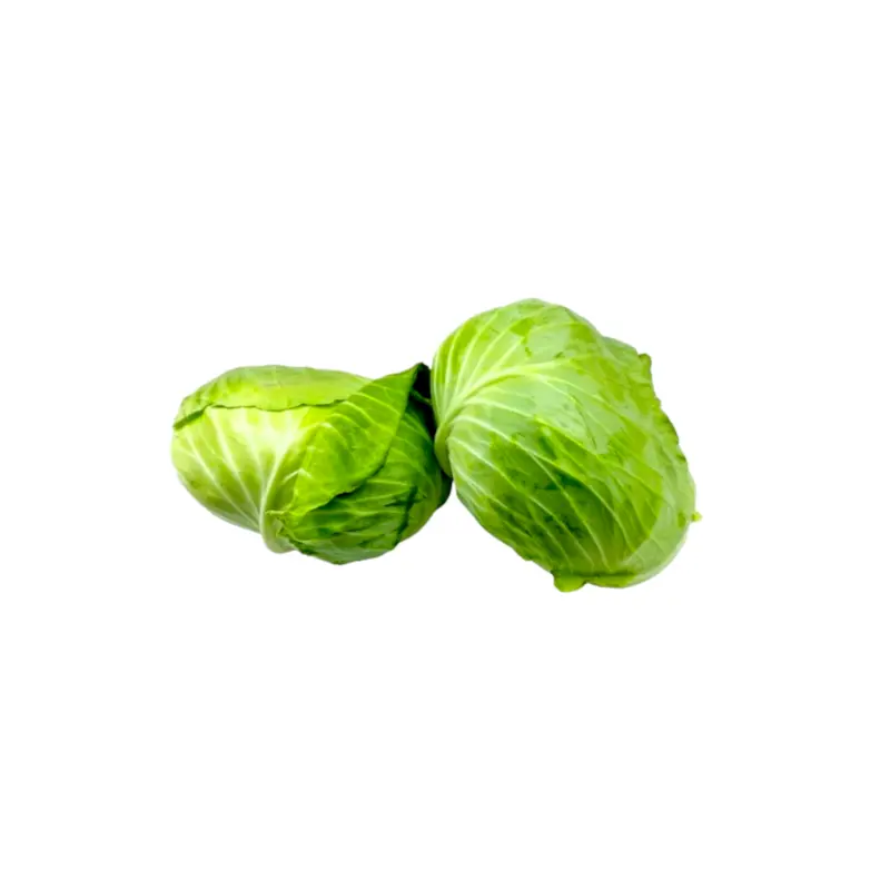 China Round Cabbage 1.5kg-2kg