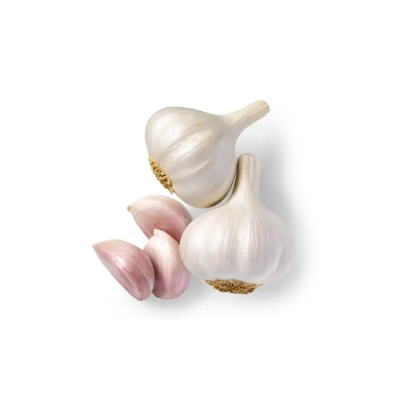 Garlic Crt 10Kg