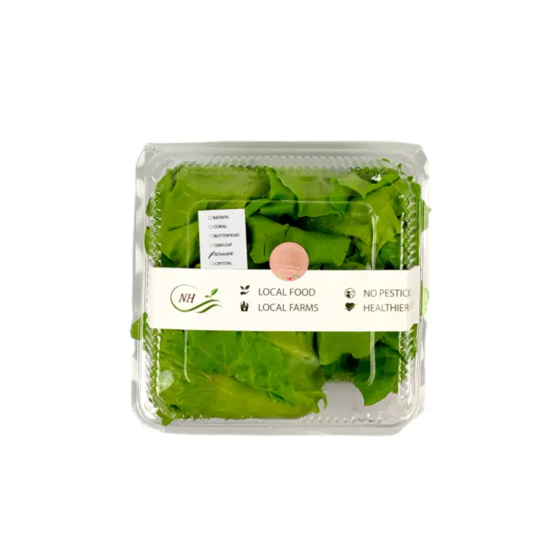 Romaine Lettuce (Box)