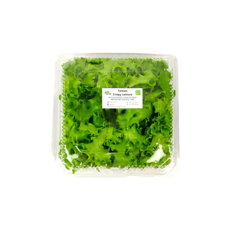 Taiwan Crispy Lettuce (Box)