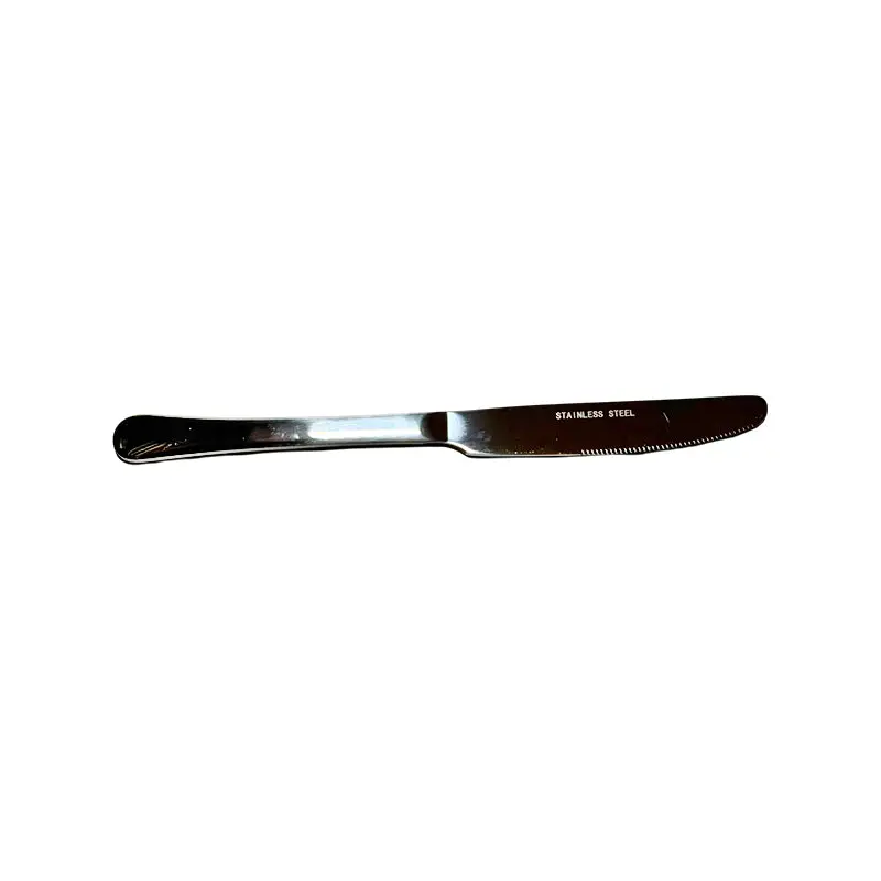 TODAYS PRODUCT - STAINLESS STEEL DELUXE DINNER KNIFE 12EA