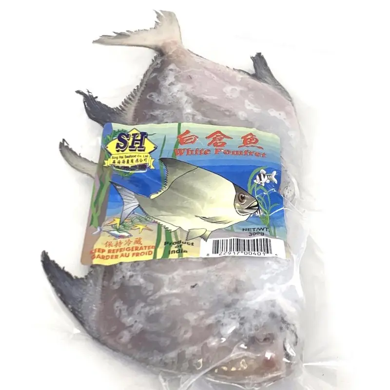 SH White Pomfret