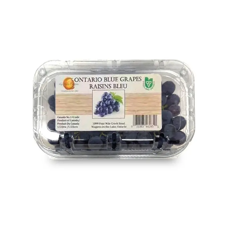 Ontario Blue Grapes