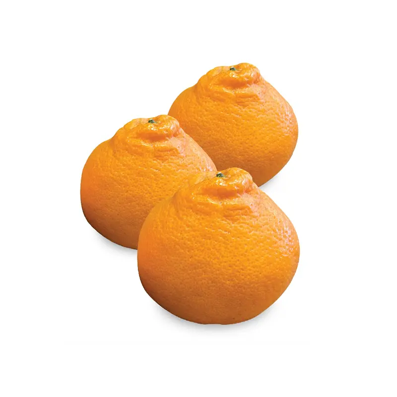 Papagan Mandarin