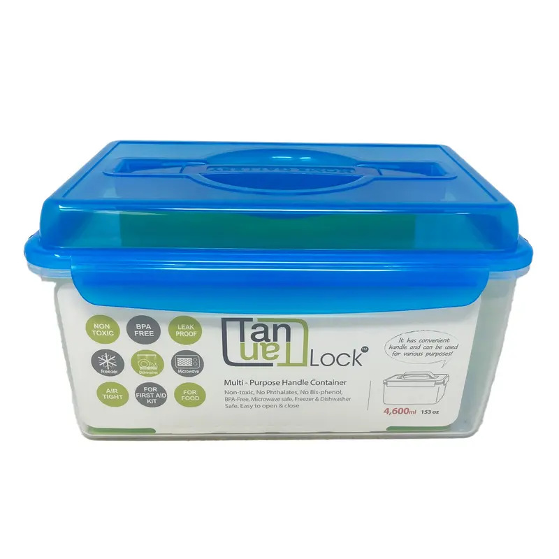 Multi Handle Container