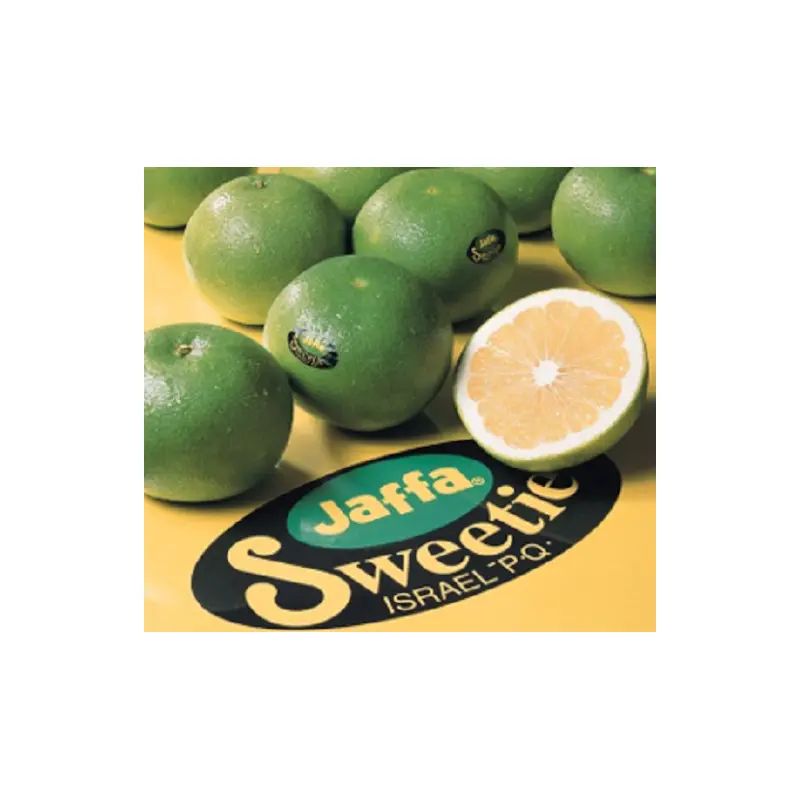 JAFFA GOLDEN POMELO