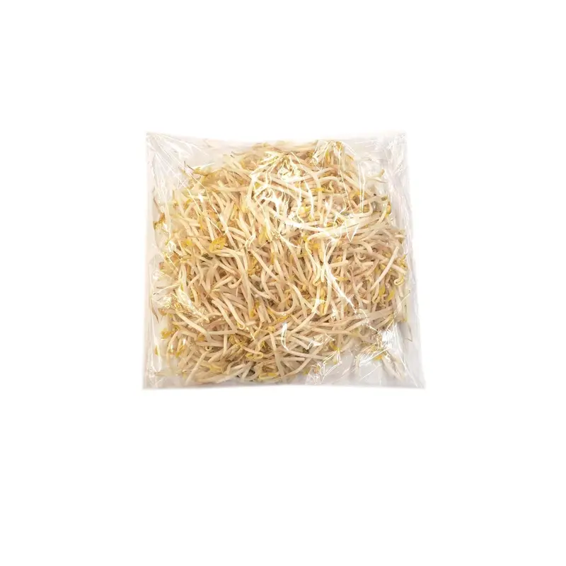 FRESH BEAN SPROUTS