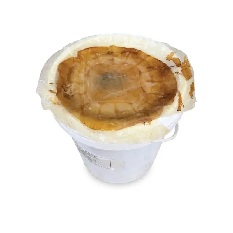 Fresh Jellyfish Skin