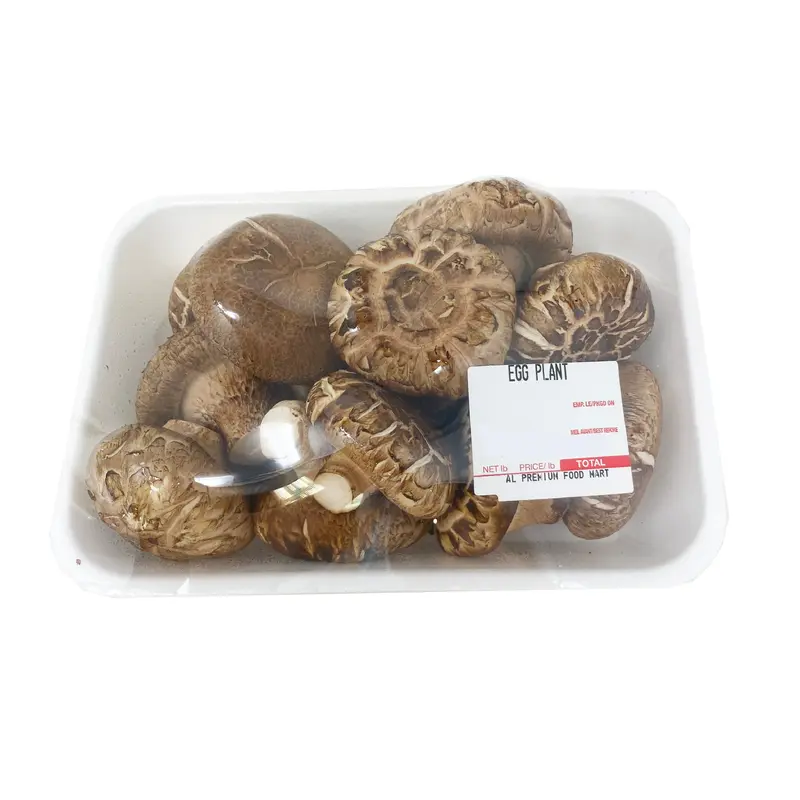 Fresh shiitake mushroom