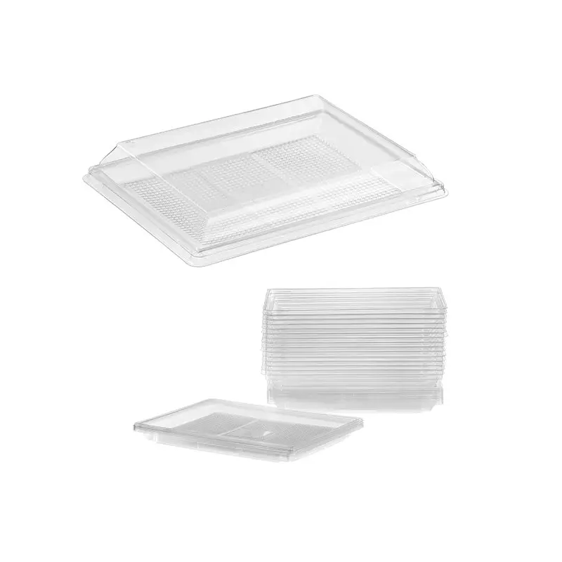 TALTHI - 7.5"x10" LARGE PARTY TRAY 15EA