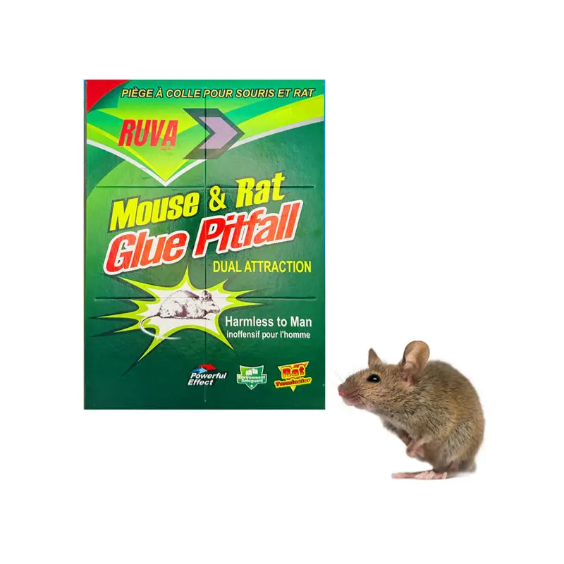 RUVA - GLUE TRAP 10PK