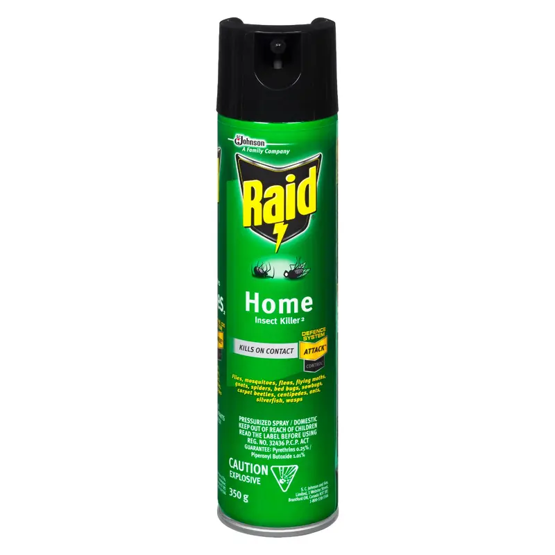 RAID - HOME INSECT KILLER 350GR