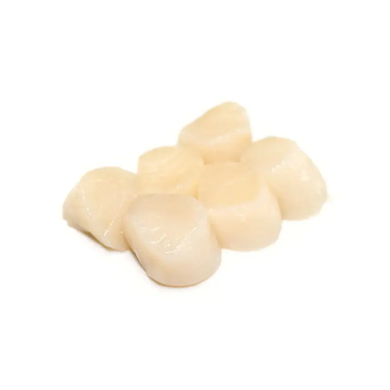 MAXIMUM SEAFOOD - 10/20 SCALLOPS 12x1 LB