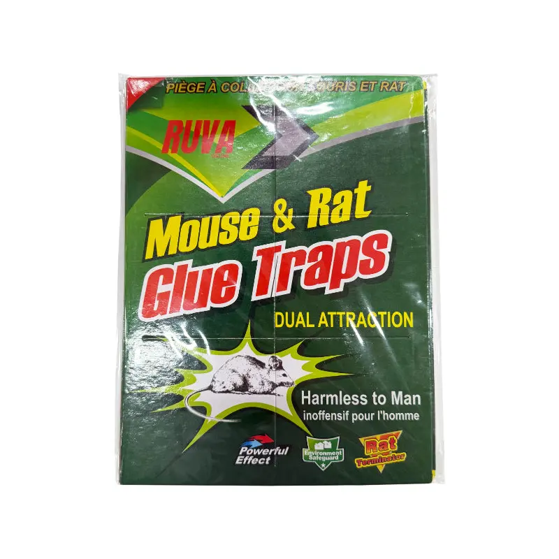 ICON - MOUSE GLUE TRAP 1UN