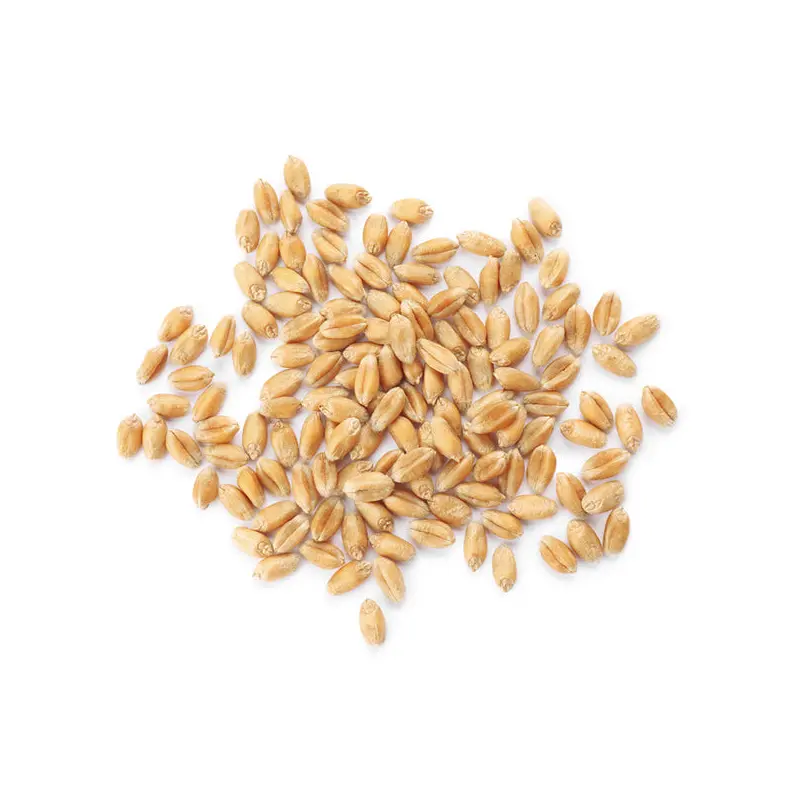 GRAIN PRO - SOFT WHEAT KERNALS 10KG