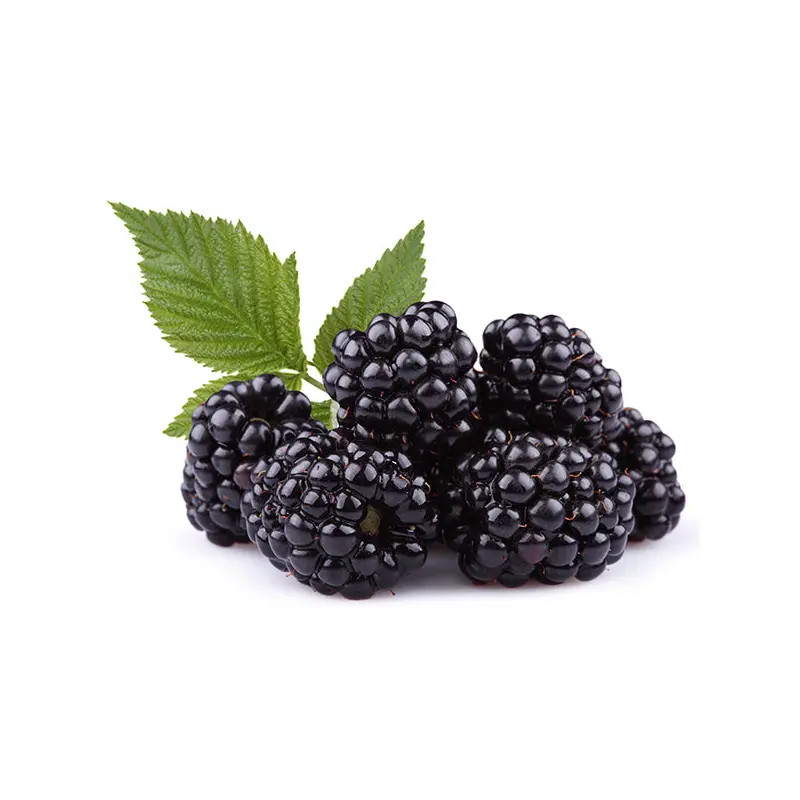 FRUITS - BLACKBERRIES CASE 12 X 170 G