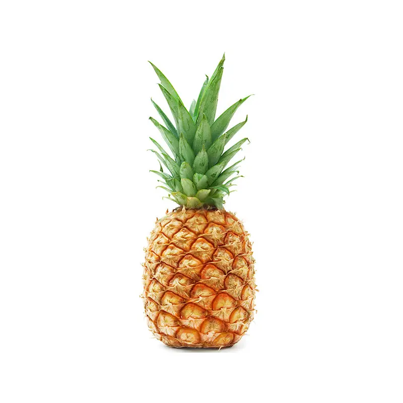 FRUITS -  CROWNLESS PINEAPPLE GOLD CASE 9 EA