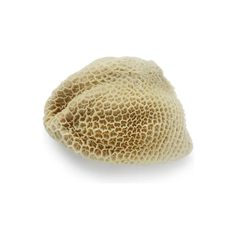 FRESH MEAT - BEEF HONEYCOMB TRIPE PER KG