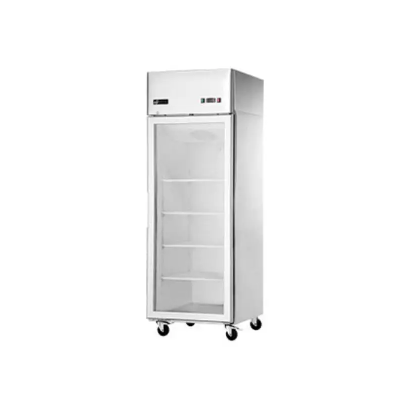EFI - 29" GLASS DOOR COOLER SGL SWING