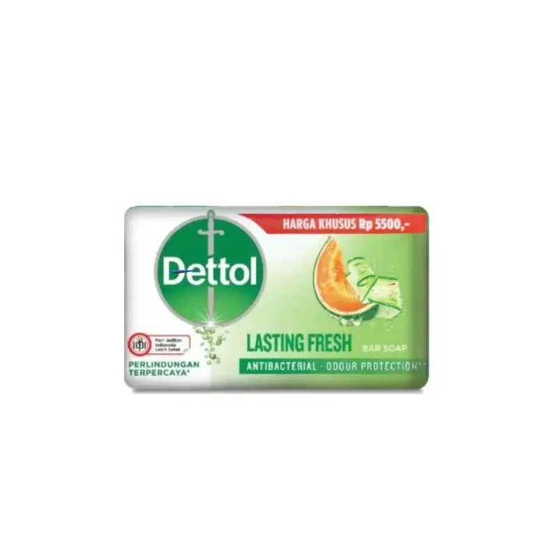 DETTOL - LASTING FRESH ANTIBACTERIAL BAR SOAP 100GR