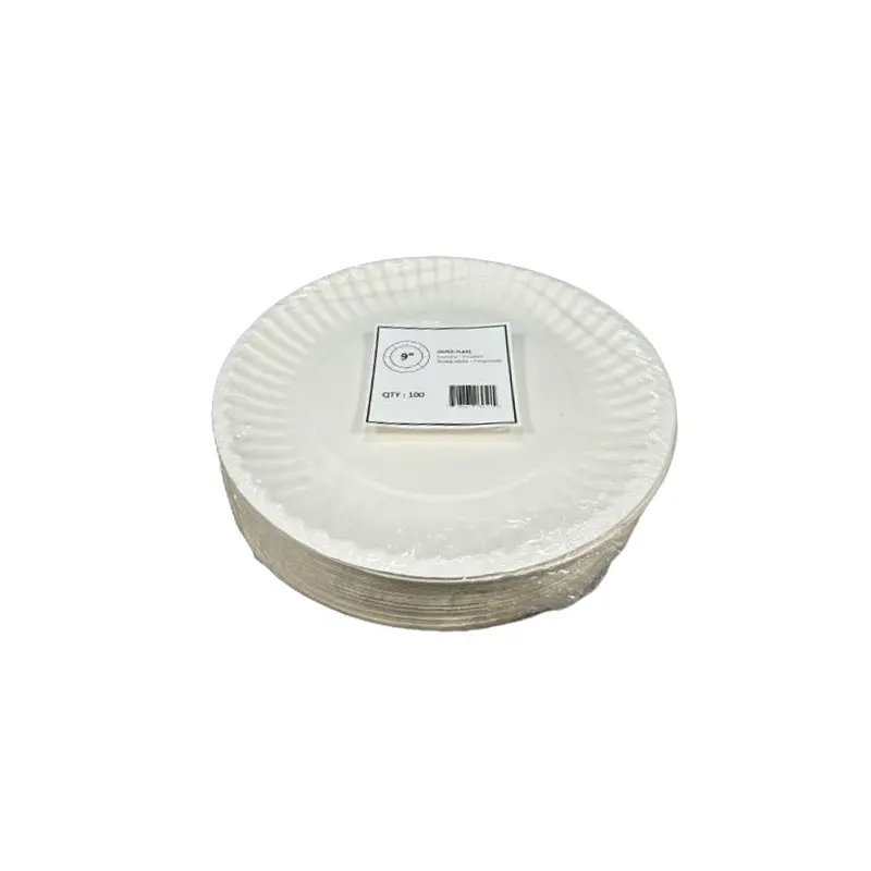 CPC - 9IN PAPER PLATE 12x100 CT