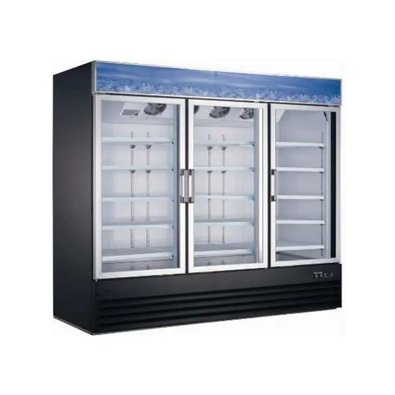 COLDZONE - F49-G2 2 GLASS DOOR MERCHANDISER FREEZER 49"